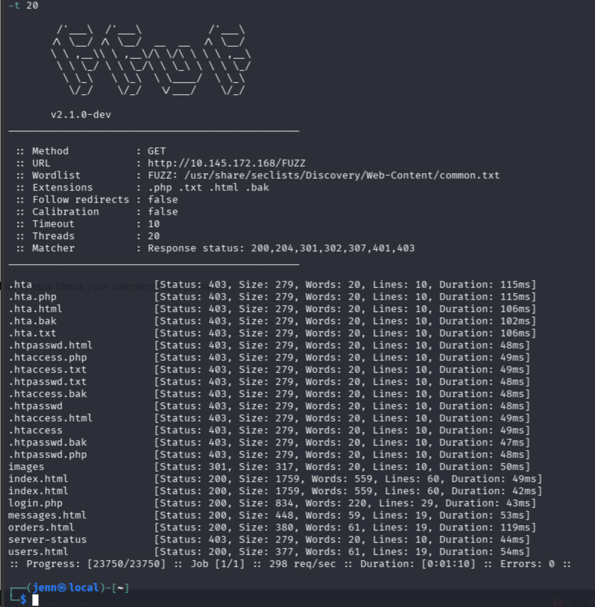 ffuf discovering several web endpoints